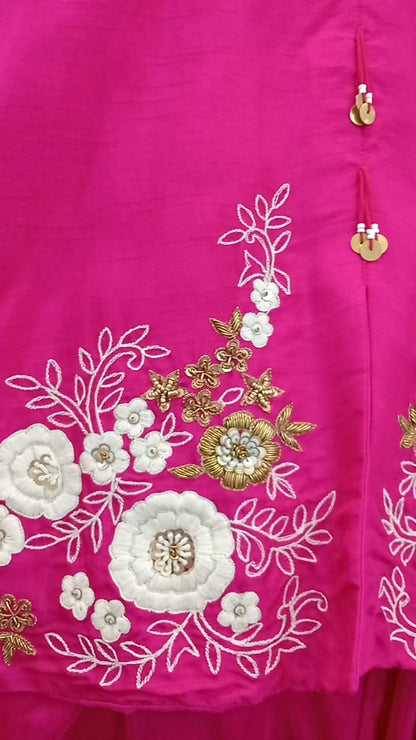 Indo-Western Dress